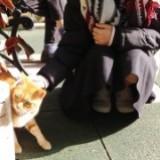 （分類：）位於 。 由 iamchachaho 提交（商品編號 1268005215，圖片 1）。簡介： 。