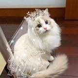 (Category: ) located in . Submitted by miszfazie (Listing ID 1385366802, Image 1). Description: .