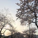 （分類：）位於 。 由 like_rain 提交（商品編號 1327320306，圖片 1）。簡介： 。