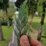 (Kategori: ) berada di . Dikirim oleh ari_lio (ID iklan 1267002644, Gambar 1). Deskripsi: .