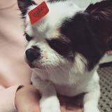 由 moston (刊登 ID 1384370507，圖片 1) 提交，位於 的 (類別：)，說明：。