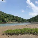 （分類：）位於 。 由 nanawongwong 提交（商品編號 1323057276，圖片 1）。簡介： 。