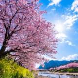 （分類：）位於 。 由 Happyshoppingbuybuybuy 提交（商品編號 1370246348，圖片 1）。簡介： 。