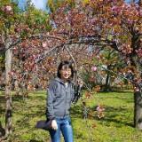 (Category: ) located in . Submitted by ah_siok (Listing ID 1384594548, Image 1). Description: .