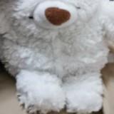 （分類：）位於 。 由 bobochanseller 提交（商品編號 1378353768，圖片 1）。簡介： 。