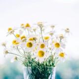 (Kategori: ) berada di . Dikirim oleh citrasie (ID iklan 1367206612, Gambar 1). Deskripsi: .