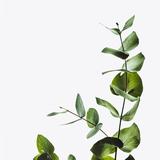 （分類：）位於 。 由 zerowastejudy 提交（商品編號 1313836318，圖片 1）。簡介： 。