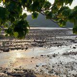 （分類：）位於 。 由 eco_life 提交（商品編號 1282705570，圖片 1）。簡介： 。