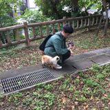 由 Gengarisbest (刊登 ID 1378328880，圖片 1) 提交，位於 的 (類別：)，說明：。