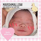 （分類：）位於 。 由 cowleung318 提交（商品編號 1382360567，圖片 1）。簡介： 。