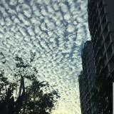(Category: ) located in . Submitted by wufeng13811 (Listing ID 1361887796, Image 1). Description: .