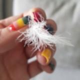 (Category: ) located in . Submitted by babymilo111 (Listing ID 1418730303, Image 1). Description: .