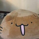 (Kategori: ) berada di . Dikirim oleh kittencloset (ID iklan 1376846509, Gambar 1). Deskripsi: .