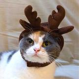 (Category: ) located in . Submitted by everythingjinglebells (Listing ID 1386833758, Image 1). Description: .
