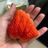 （分類：）位於 。 由 siuping2188 提交（商品編號 1346037042，圖片 1）。簡介： 。