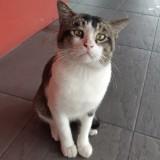 (Category: ) located in . Submitted by is7777 (Listing ID 1459313675, Image 1). Description: .