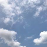 由 nanabaty (刊登 ID 1384523845，圖片 1) 提交，位於 的 (類別：)，說明：。