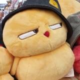 由 streetcatsky.1 (刊登 ID 1380437266，圖片 1) 提交，位於 的 (類別：)，說明：。