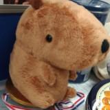 (Category: ) located in . Submitted by lrolly (Listing ID 1351052027, Image 1). Description: .