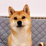 (Category: ) located in . Submitted by sophiechen1221 (Listing ID 1375119664, Image 1). Description: .