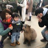 （分類：）位於 。 由 kakakwan 提交（商品編號 1383321075，圖片 1）。簡介： 。