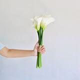 (Kategori: ) berada di . Dikirim oleh agnesamelia (ID iklan 1265634554, Gambar 1). Deskripsi: .