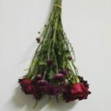 (Category: ) located in . Submitted by nadhirakim (Listing ID 1452446329, Image 1). Description: .