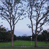 (Category: ) located in . Submitted by therealjf (Listing ID 1128401935, Image 1). Description: .