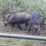 (Category: ) located in . Submitted by photographyequipments (Listing ID 1316735269, Image 1). Description: .