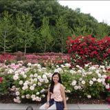 (Category: ) located in . Submitted by mjahx (Listing ID 1421761927, Image 1). Description: .