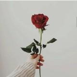 (Kategori: ) berada di . Dikirim oleh dhepreloved_ (ID iklan 1344798788, Gambar 1). Deskripsi: .