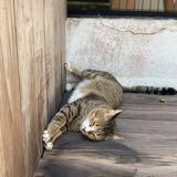 (Category: ) located in . Submitted by hckxt (Listing ID 1380733439, Image 1). Description: .