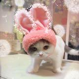 （分類：）位於 。 由 little_mochi 提交（商品編號 1360130252，圖片 1）。簡介： 。