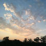 (Category: ) located in . Submitted by diggihdooh (Listing ID 1373945786, Image 1). Description: .