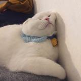 (Category: ) located in . Submitted by hanbyul_ (Listing ID 1365640277, Image 1). Description: .