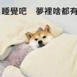 （分類：）位於 。 由 10__01 提交（商品編號 1284087864，圖片 1）。簡介： 。