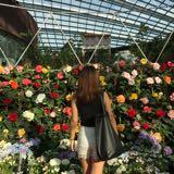 (Category: ) located in . Submitted by lovelylow (Listing ID 1385839861, Image 1). Description: .