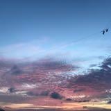 （分類：）位於 。 由 wonggg321 提交（商品編號 1335163915，圖片 1）。簡介： 。