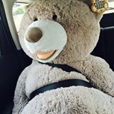 (Category: ) located in . Submitted by yatou1130802 (Listing ID 1377818249, Image 1). Description: .