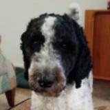 (Category: ) located in . Submitted by Carrie56 (Listing ID 1383147458, Image 1). Description: .