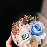 （分類：）位於 。 由 hanamiflower 提交（商品編號 1379198856，圖片 1）。簡介： 。