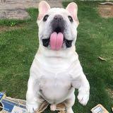 (分類:)位於 。 由 dontwastesthgd 提交(商品編號 1399416893,圖片 1)。簡介: 。
