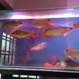 (Category: ) located in . Submitted by virsagos (Listing ID 1282702489, Image 1). Description: .