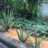 (Category: ) located in . Submitted by kat1704 (Listing ID 1379566260, Image 1). Description: .