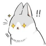 （分類：）位於 。 由 mijkimochi 提交（商品編號 1384676495，圖片 1）。簡介： 。