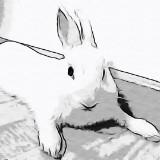 (Category: ) located in . Submitted by jollibunnie (Listing ID 1342028466, Image 1). Description: .