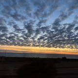 (Category: ) located in . Submitted by pehpahlife (Listing ID 1384271895, Image 1). Description: .