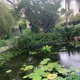 (Category: ) located in . Submitted by aquanature (Listing ID 1298796010, Image 1). Description: .