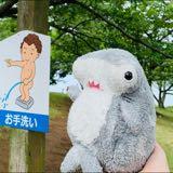 （分類：）位於 。 由 fish_ff 提交（商品編號 1372372879，圖片 1）。簡介： 。