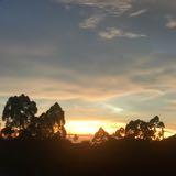 (Category: ) located in . Submitted by nrumarlina (Listing ID 1457664106, Image 1). Description: .